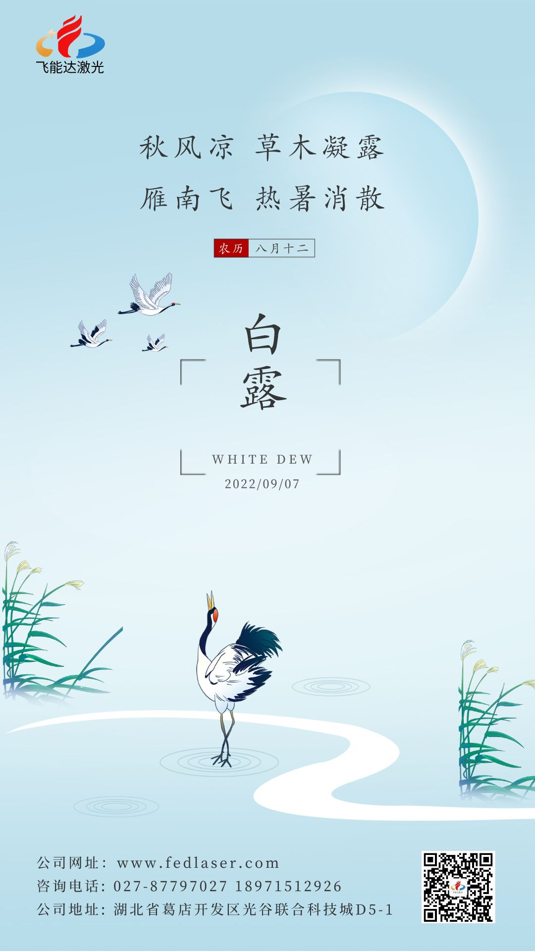 清新簡(jiǎn)約二十四節(jié)氣白露宣傳海報(bào).png